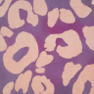 Meet your Posher, Lana